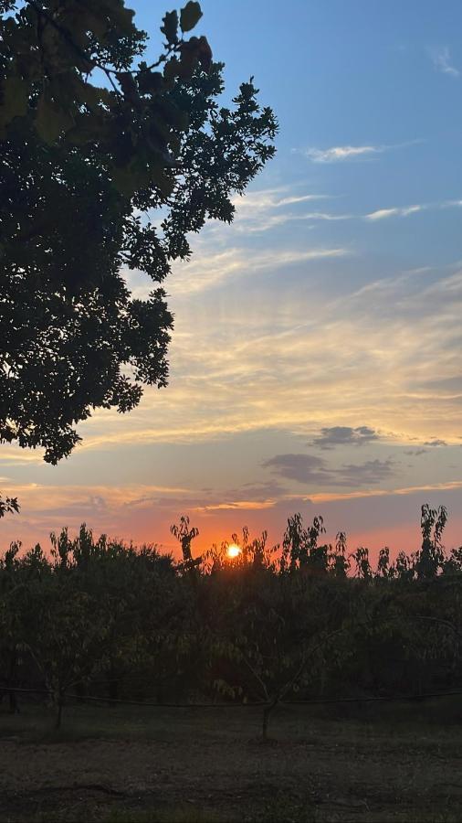La Ca Dal Non Bioagriturismo - Alpenice Alloggio per agriturismo
